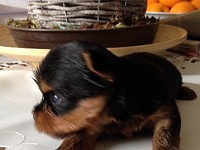 Takomi 3 Wochen Ich habe mich auch richtig fein gemacht