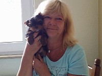 Takomi 10 Wochen Mein neues Frauchen kommt mich endlich holen