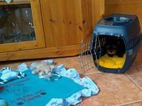 Takomi 10 Wochen Ich glaube die Reise ist zu Ende