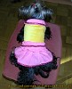 KL-003a Hundekleidchen Pink/Gelb mit Rüsche und Borte Material gelber Nicky und pinkfarbenes Alcantaraimitat
