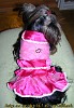 KL-004a Hundekleidchen Pink/Rosa mit Rüsche und Borte Material pinkfarbener Satin und rosa Alcantaraimitat, verziert mit Tüll. Die Applikation ist ein Herz aus rosanen...