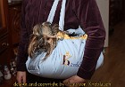 TT-004c Reisebettchen in Taschenform - mit Hohlfaserkügelchen gefüllt - mit Außentaschen versehen - herausnehmbares Kissen mit 2 unterschiedlchen Farbseiten. >>>> ...