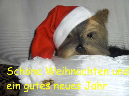 bonitobears.oyla11.de