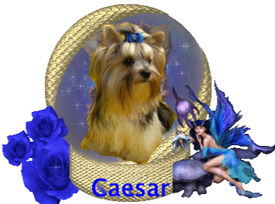 Darling-Caesar of Queen Cleopatra