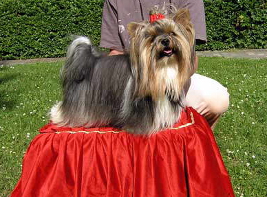 db_Caesar_36Monate0811 db_Caesar_36Monate0811