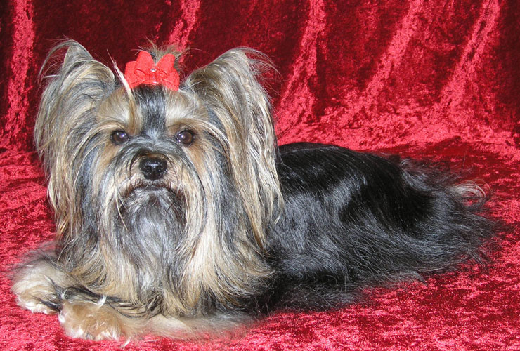 gismo_20050928_006Klein gismo_20050928_006Klein