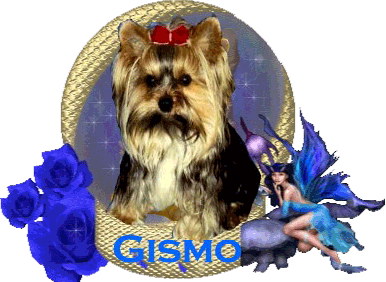 Gismo from Dream-Lover-Moon