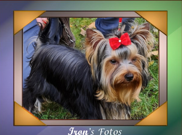 iron7Monate4Fotogallerie