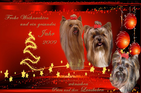 An den Beitrag angehängtes Bild: http://www.meine-lausbuben.de/extras/christmas-card2008.jpg